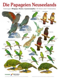Die Papageien Neuseelands (Nieuw-Zeeland)